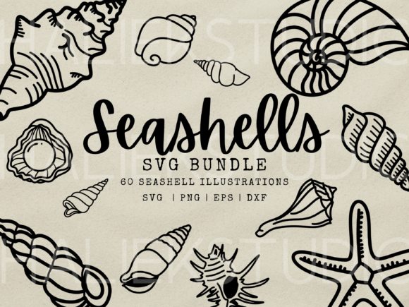 60 Seashell SVG Illustrations for Coastal Design Projects
