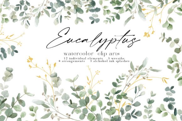 Bring Natural Elegance to Your Designs with Eucalyptus Watercolor Illustrations