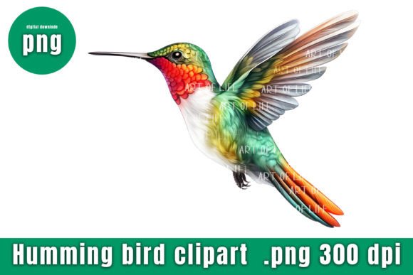 Bringing Nature to Your Canvas: The Hummingbird Illustration Set