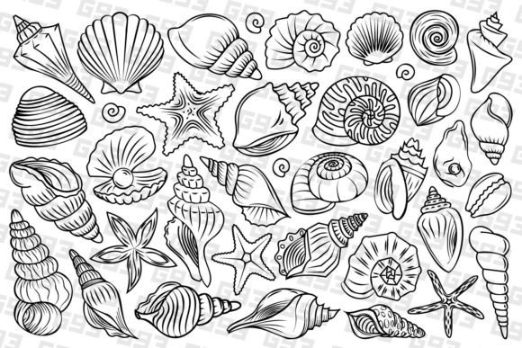 Line Art Seashell Illustrations: Your Ultimate Underwater Toolkit