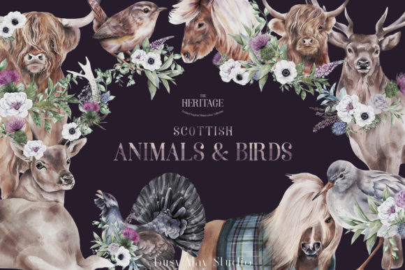 Scottish Animals & Birds Illustrations: A Complete Creative Asset