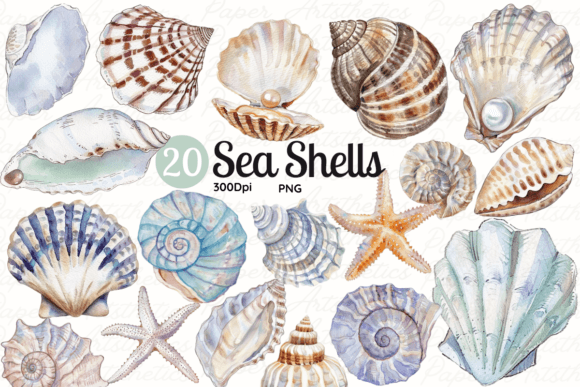 Seashell Clipart Sea Shell Illustrations: A Versatile Digital Asset