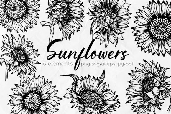 Sunflowers Line Art Illustrations: Crafting with Hand-Drawn Charm