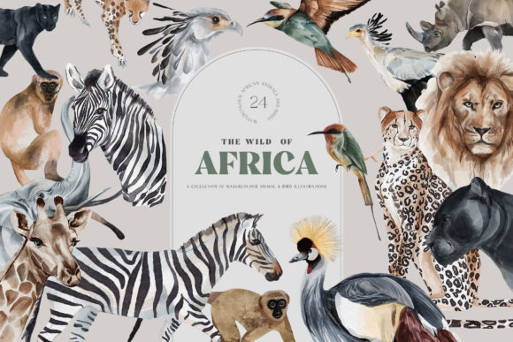 Wild Animals of Africa Illustrations PNG for Your Projects