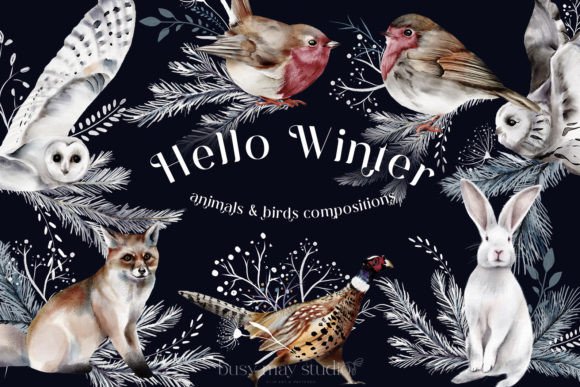 Winter Animals & Birds Illustrations: A Cozy Collection for Creative Projects